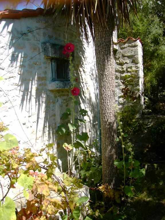 Hotel Les Jardins Saint Leonard Thairé Exteriér fotografie